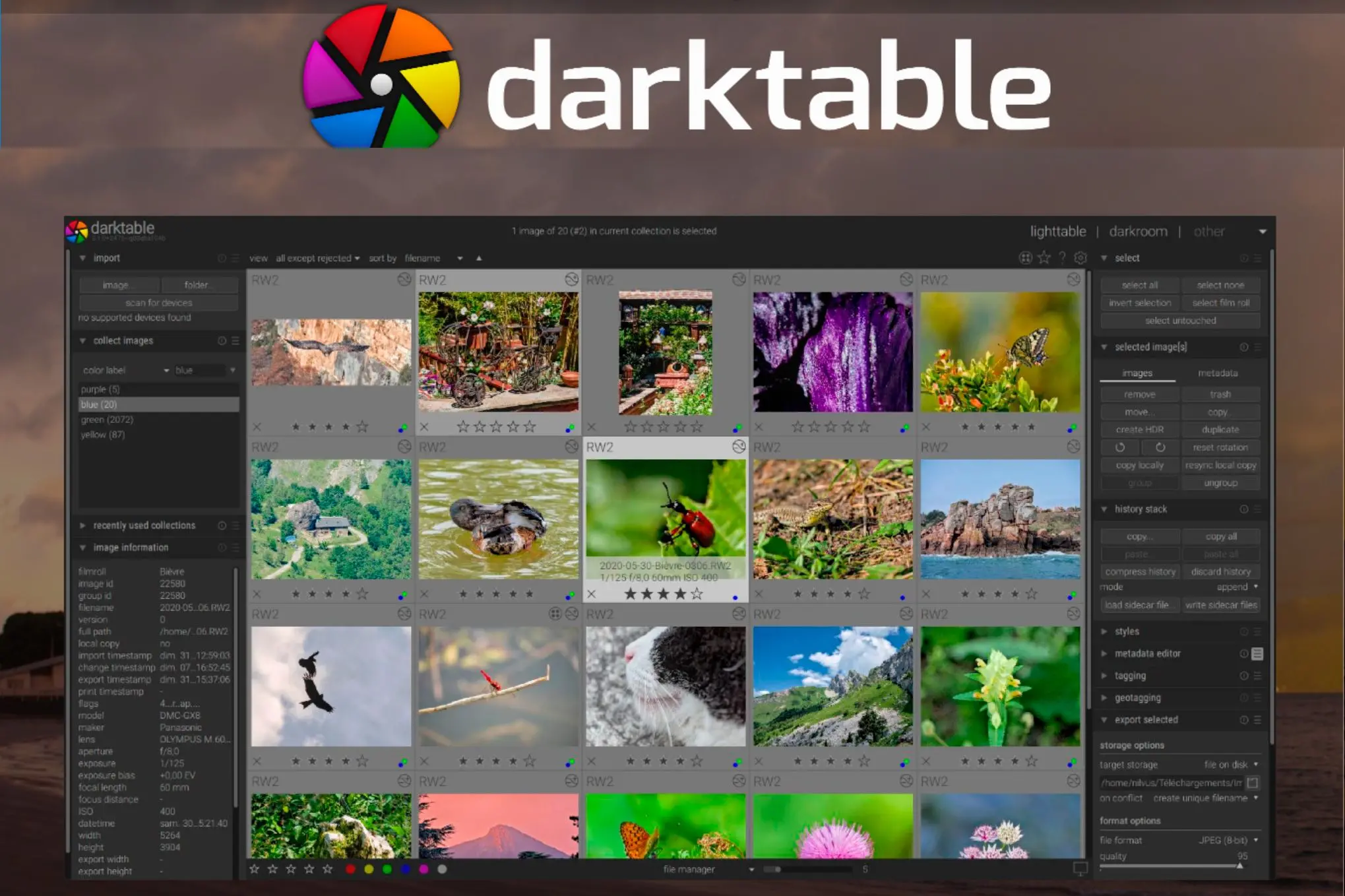 Darktable 為替代方案..