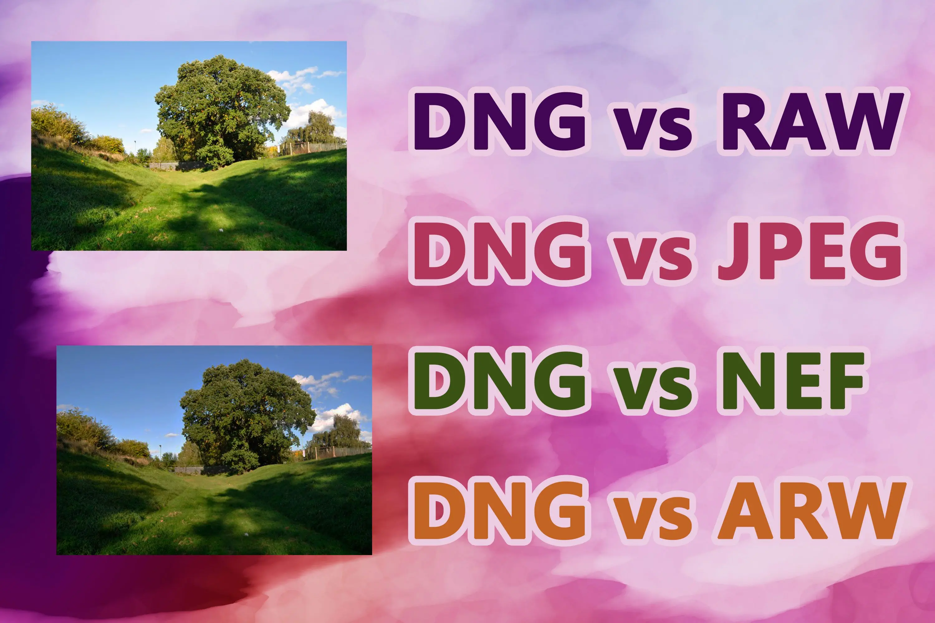 DNG vs. RAW格式..