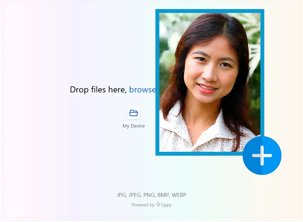 （可選）輸入自定義提示.