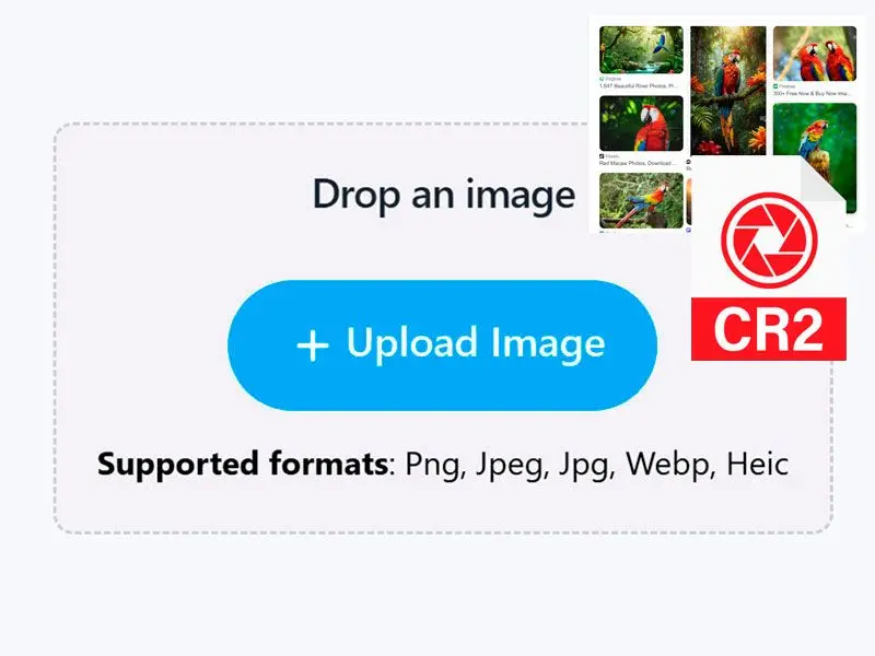 新增您的 CR2 檔案.