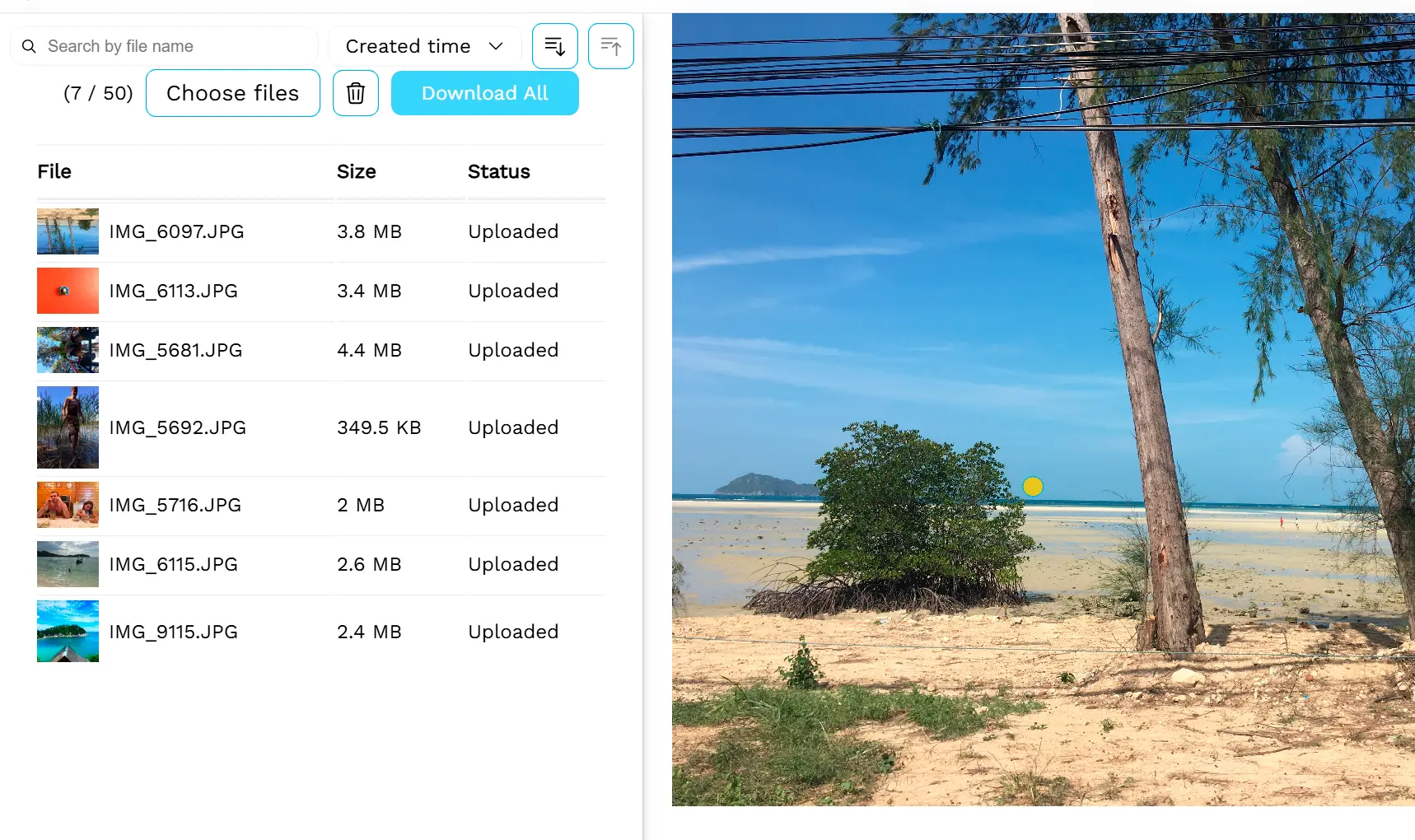 （可選）處理更多圖像.