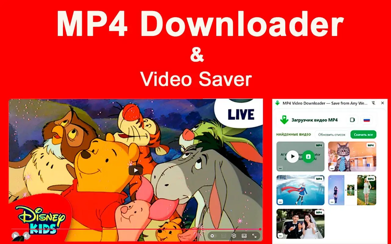 MP4 下載器 & Chrome 擴充功能限制.